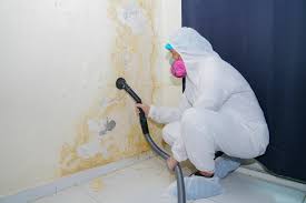 Best Biohazard Mold Removal  in Greencastle, IN